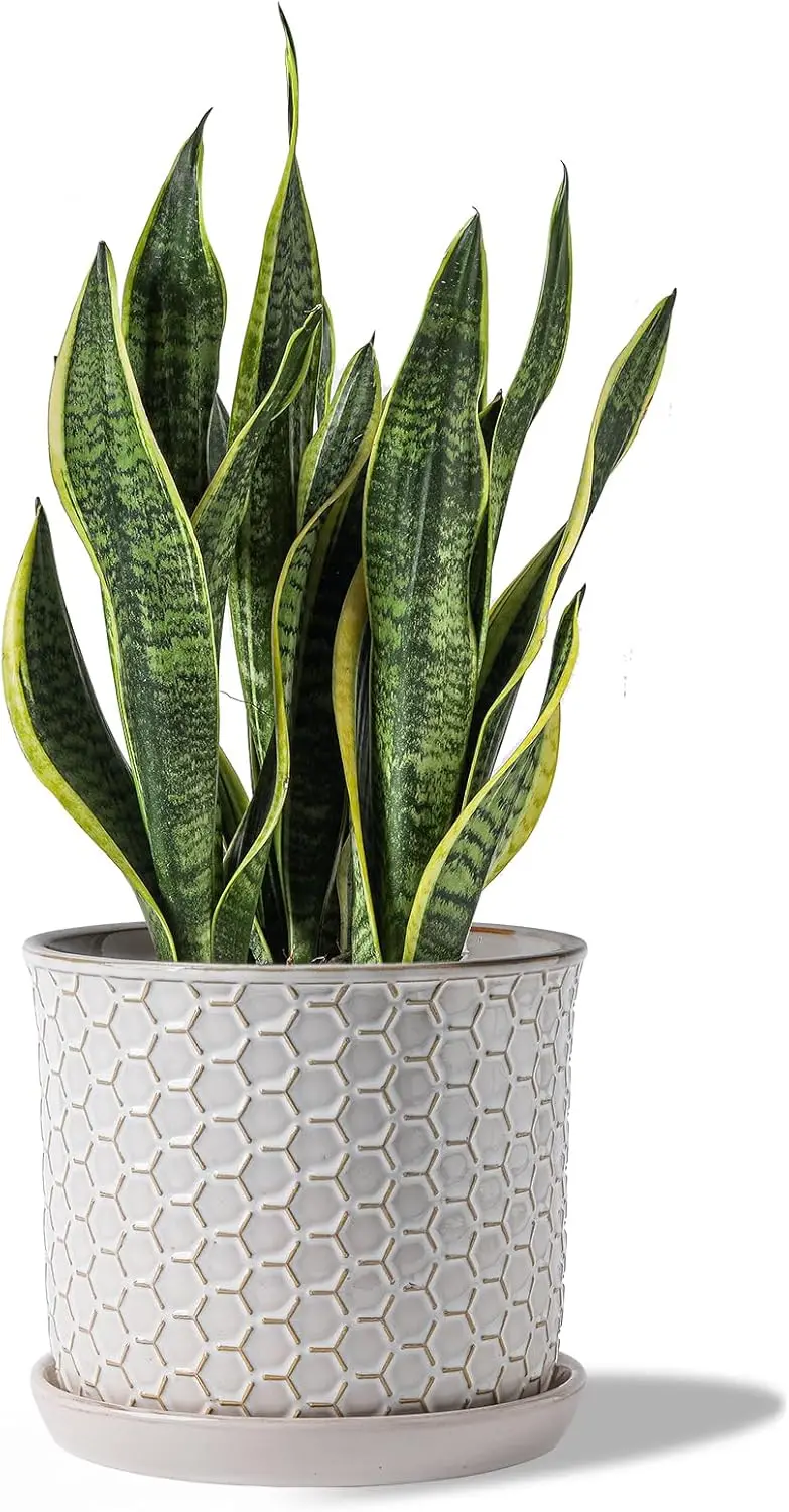 

8 Inch Ceramic Planter with Drainage Hole & Saucer - Honeycomb Design Flowerpot for Indoor Outdoor Plants
