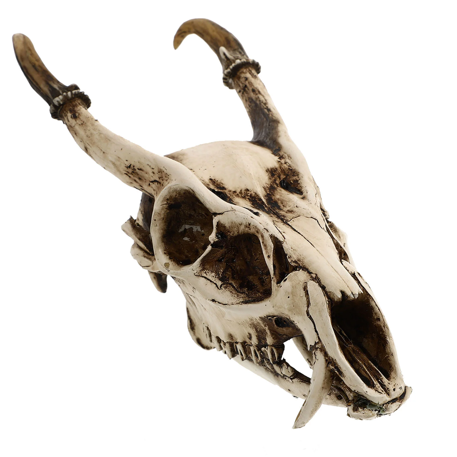 

Goat Skull Ornament Household Model Decor Shaped Retro Crafts Resin Artware Creative Adornment Decorative Animals