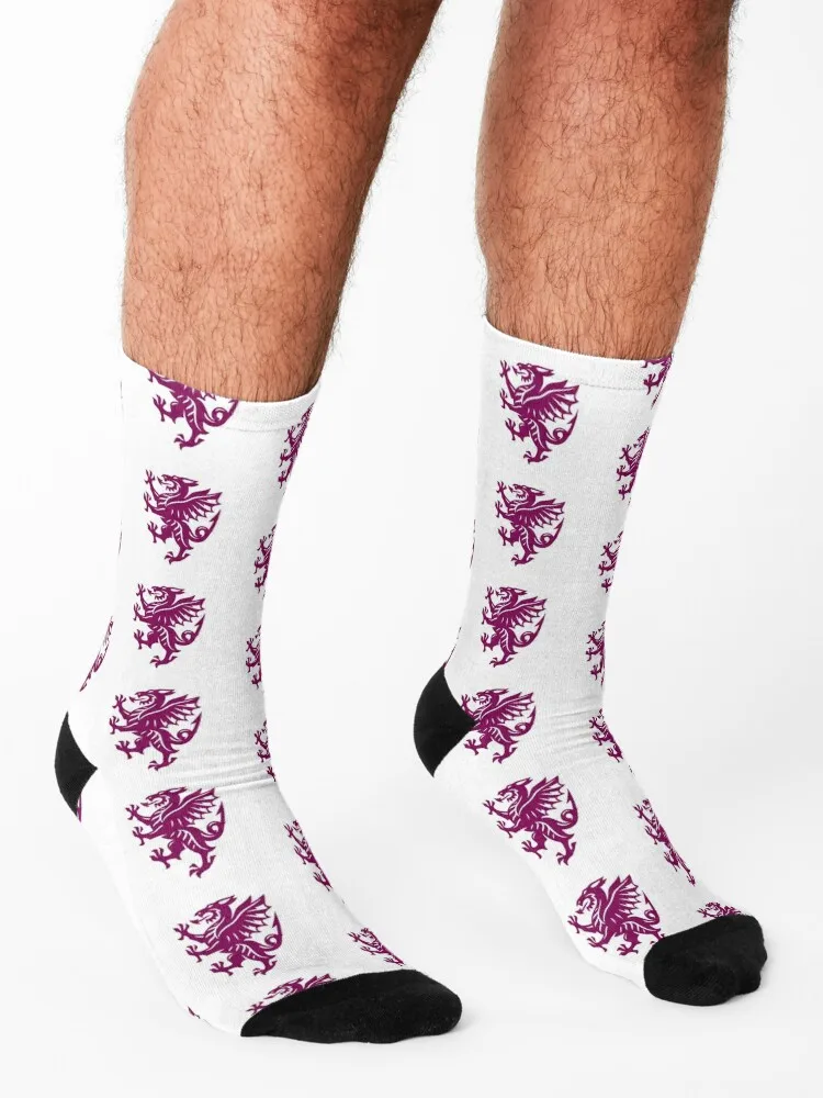 Somerset County Cricket Socks winter gifts aesthetic gifts Run Women's Socks Men's