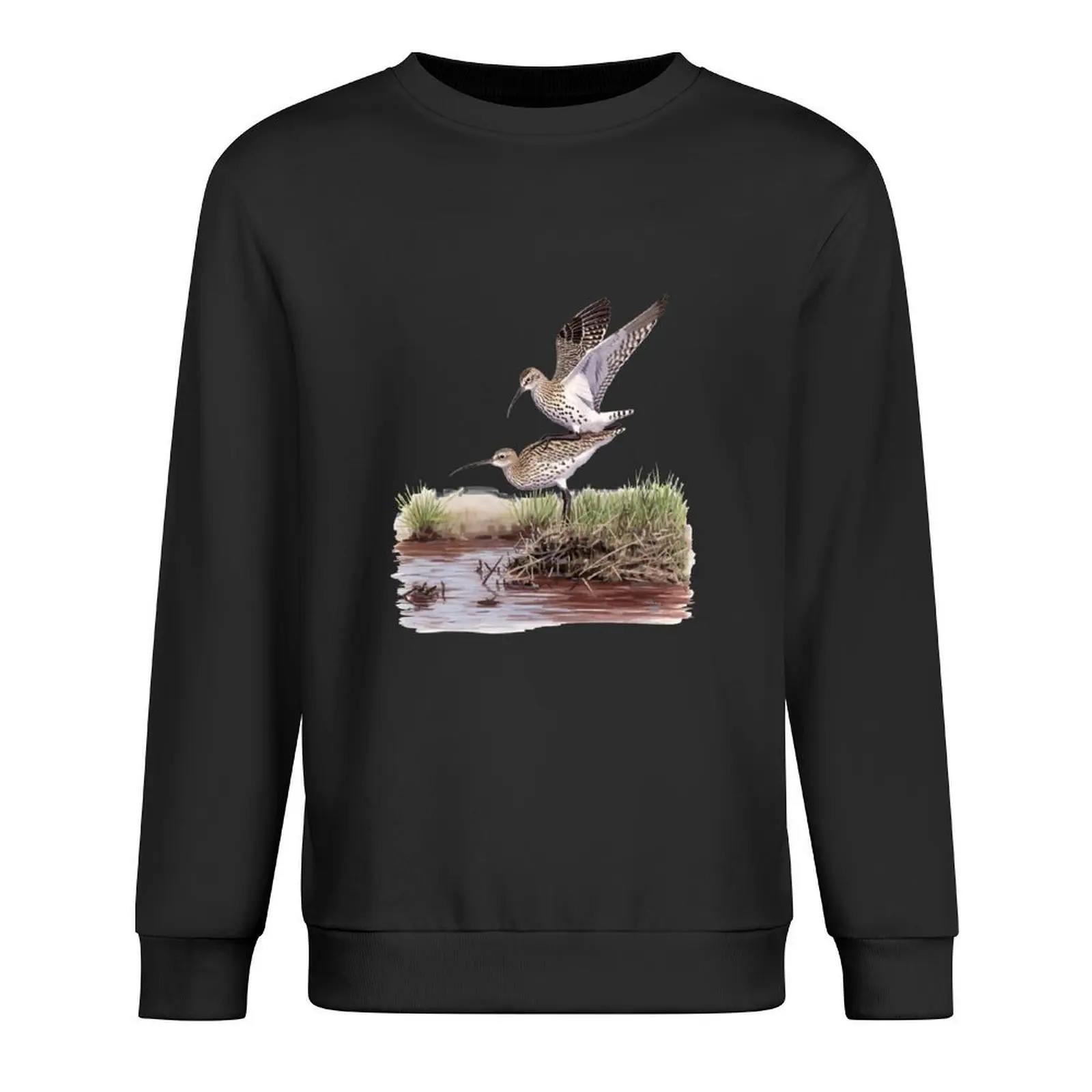 

Slender-billed Curlew pair Pullover men's sweat-shirt set male clothes mens clothes aesthetic clothing sweatshirts