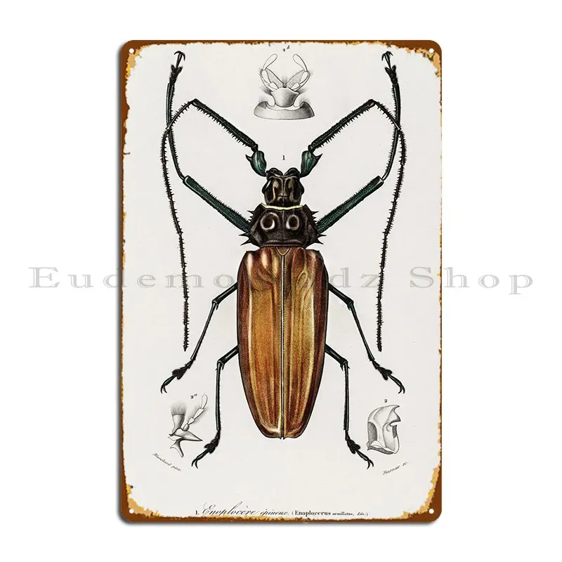 Enoplocerus Armillatus Ill Metal Signs Party Cinema Club Cave Create Tin Sign Poster