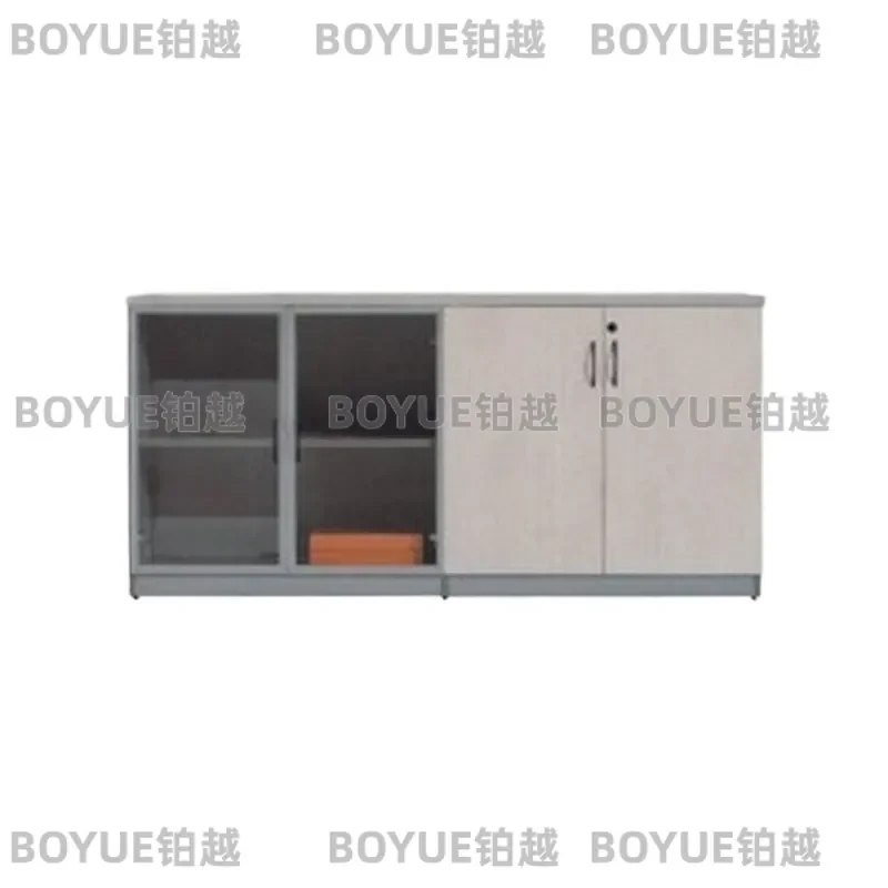 Modern Office Panel Filing Cabinet and Bookcase Storage Unit for Home Workspace Organization with Adjustable Shelves