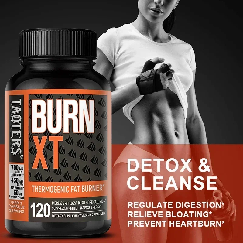 Burn-XT Nighttime Supplement - Premium Green Tea Extract To Support Fat Burning and Digestive Health, Suitable for Men and Women