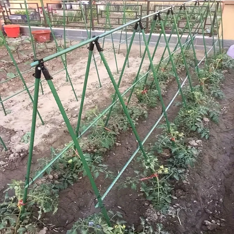 20-teilige Mehrzweck-Garten pfähle-dauerhafte Unterstützung für Gemüse, Reben und Trauben-perfekt für Tomaten, Gurken und mehr – Detail 7