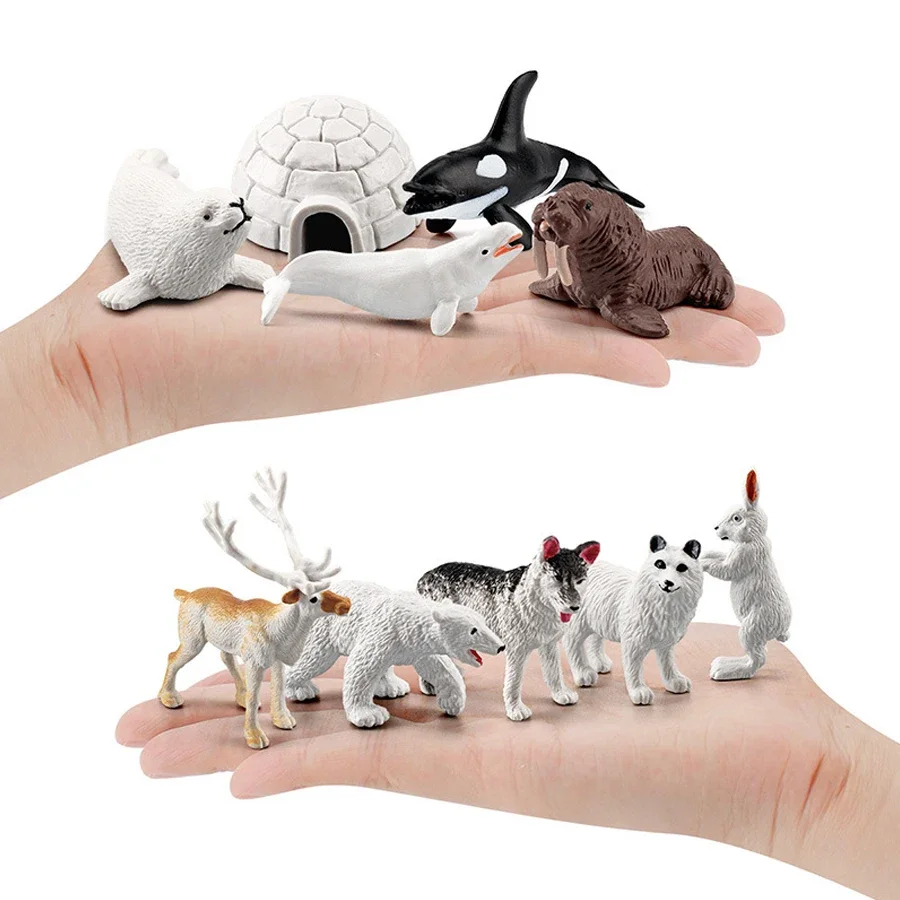 หมีขั้วโลก Arctic Fox Seal Walrus Whale Reindeer ชุดของเล่น Mini ตุ๊กตาสัตว์ Action Figure การสอนของเล่นสําหรับของขวัญเด็ก