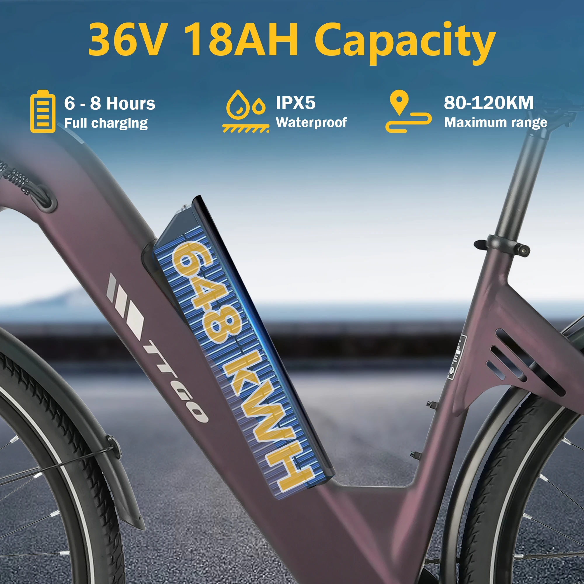 TTGO C3 SE Bicicleta Eléctrica de Montaña con Neumáticos CST