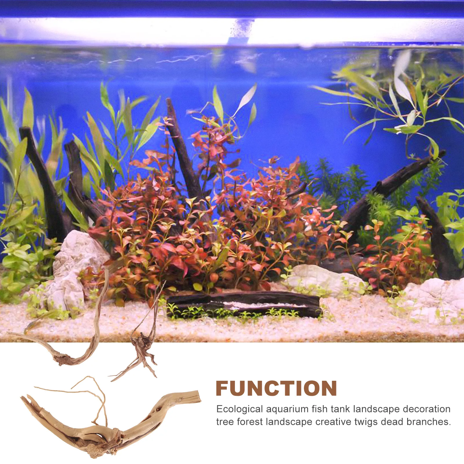 

3pcs Tree Natural Habitat Roots Roots for Aquarium Fish Tank L scaping naments Natural Habitat Branches Pet Supplies
