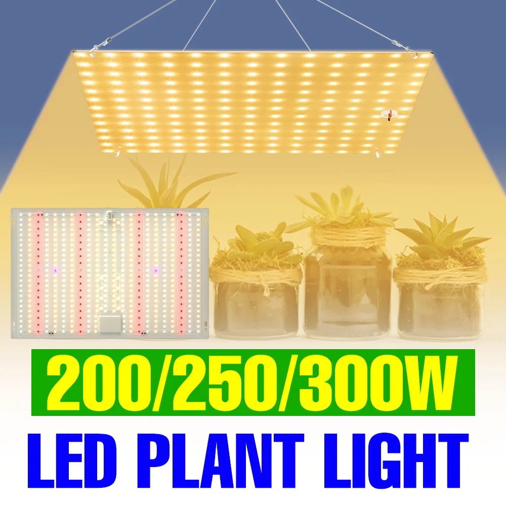 300W LED Full Spectrum Plant Lamp 220V Quantum Board Grow Light 110V Greenhouse Indoor Vegetables  Potted Cultivation Lighting