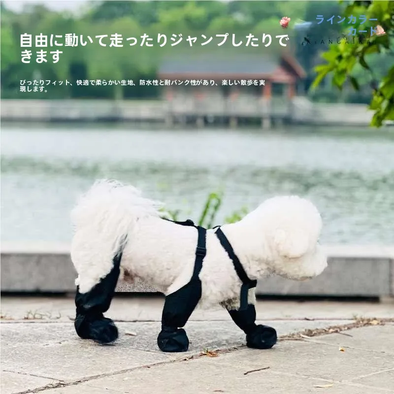 �y�Z�[�����z���p�V���[�Y�A�����h�~�y�b�g���x�X�g�X�g���b�v�A���O�h���X���b�v�I���V���[�Y�J�o�[�A���^�����璆�^���p�y�b�g�\�b�N�X