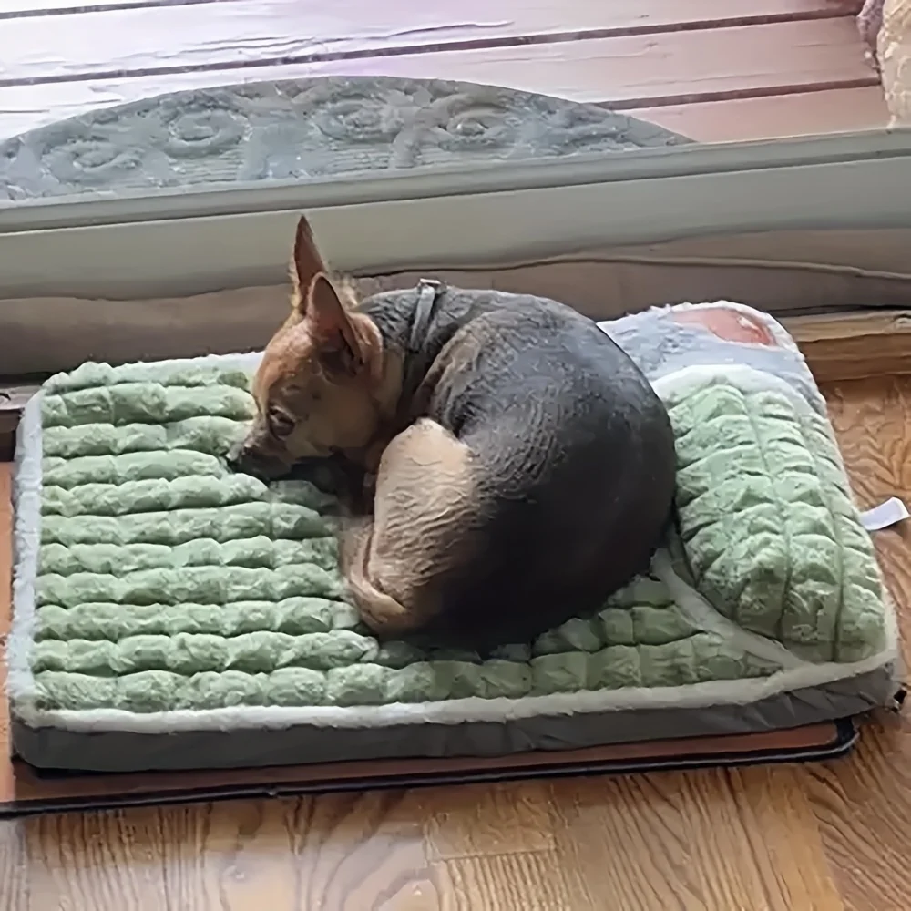 سرير أليف فاخر من القطيفة للقطط والكلاب - إسفنجة عالية المرونة، حصيرة مريحة سميكة، غطاء قابل للإزالة وقابل للغسل، أريكة مريحة للقطط