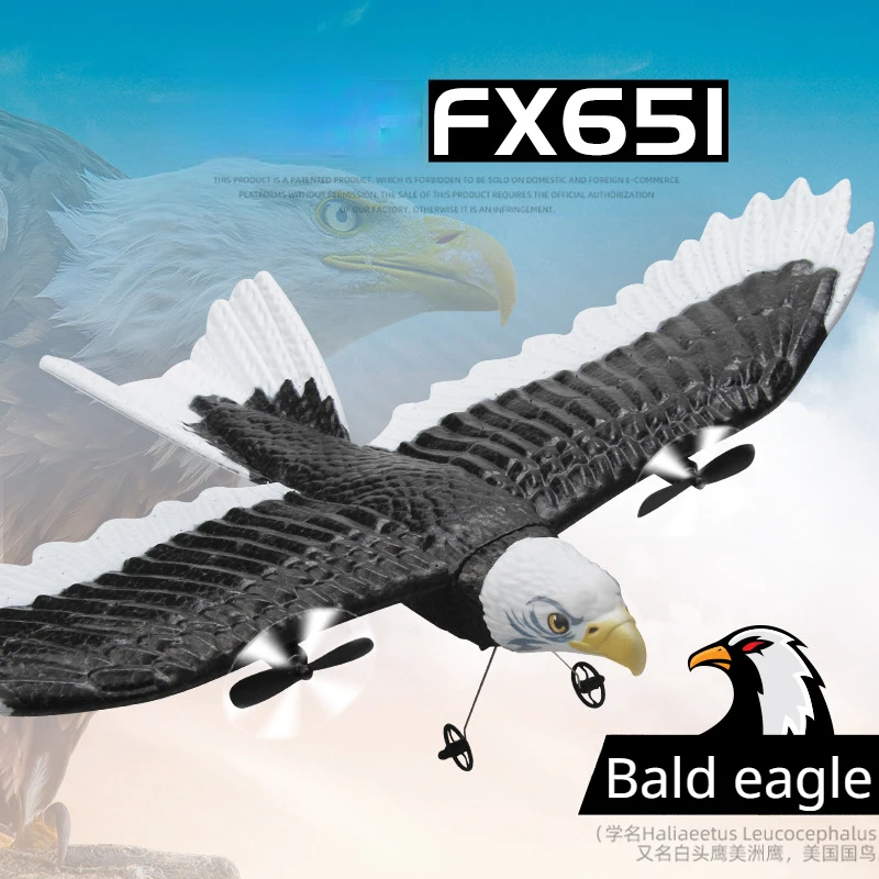 Powerful RC Airplane with Durable Foam Eagle Design for Smooth Flight