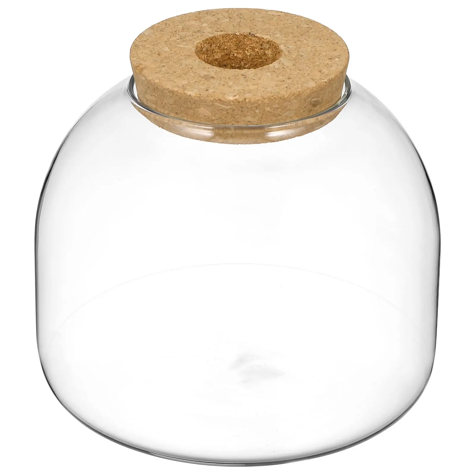 

Eco Bottle Ornaments Faux Plants Indoor Glass Small Tabletop Sealed Vase with Lid Big Jar
