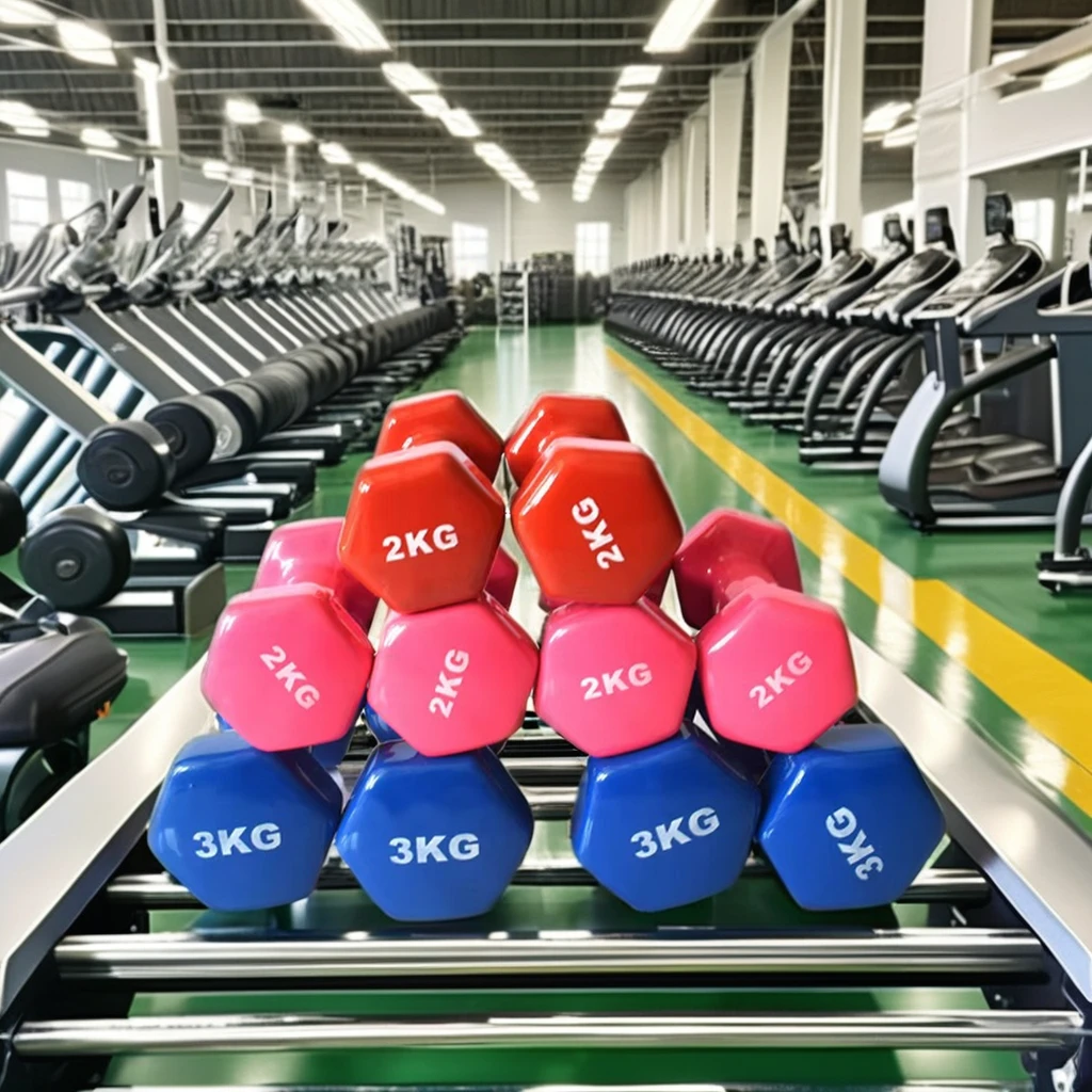 Women's Hexagonal Dumbbells, M - Sports Equipment At Home 评论和价格
