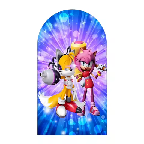 Sonic Gaming Theme Arch Backdrop Cover Knuckles Shadow Photograph for Birthday Party Customized Name Decoration Photo Booth Prop