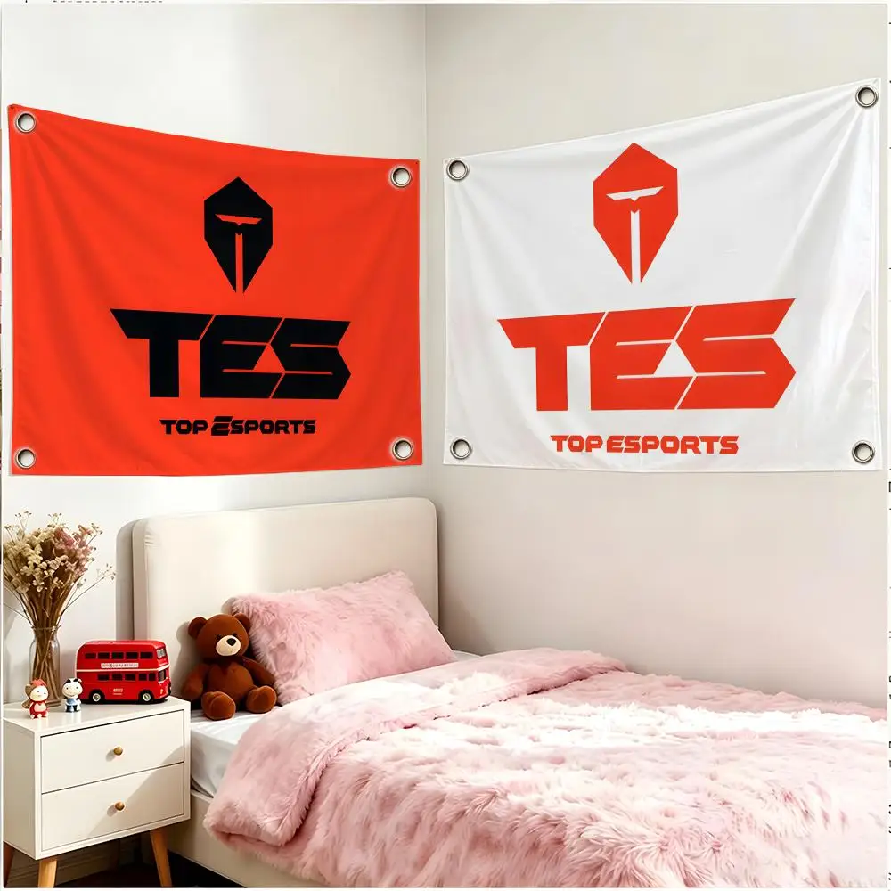 TES Flags Borderless Four Ring Ornament Indoor Outdoor Decoration Quick Hang Install