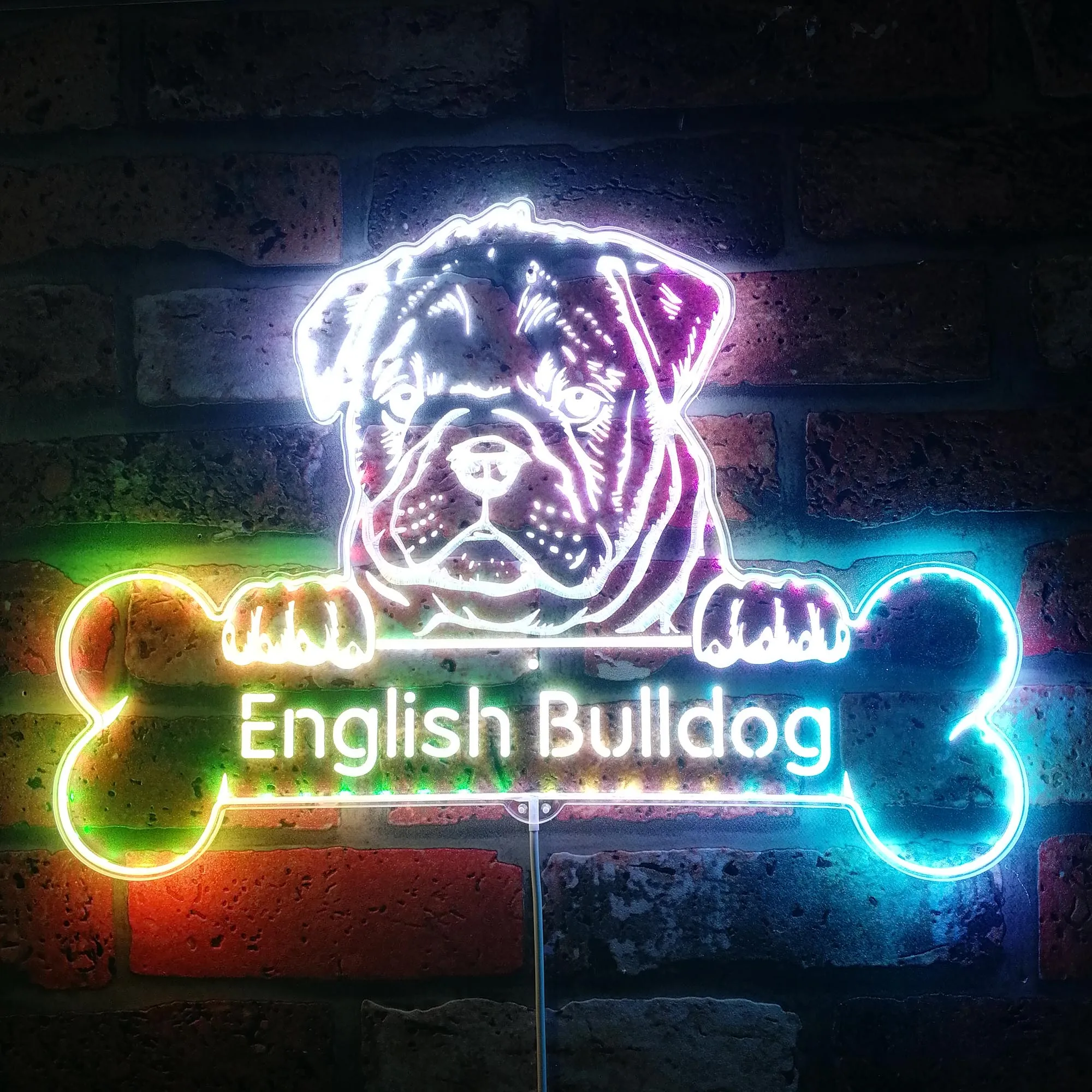 Имя Персонализировать английский бульдог Гламурная светодиодная неоновая вывеска st06-сын-p0069-tm Имя Персонализировать английский бульдог Гламурная светодиодная неоновая вывеска st06-сын-p0069-tm