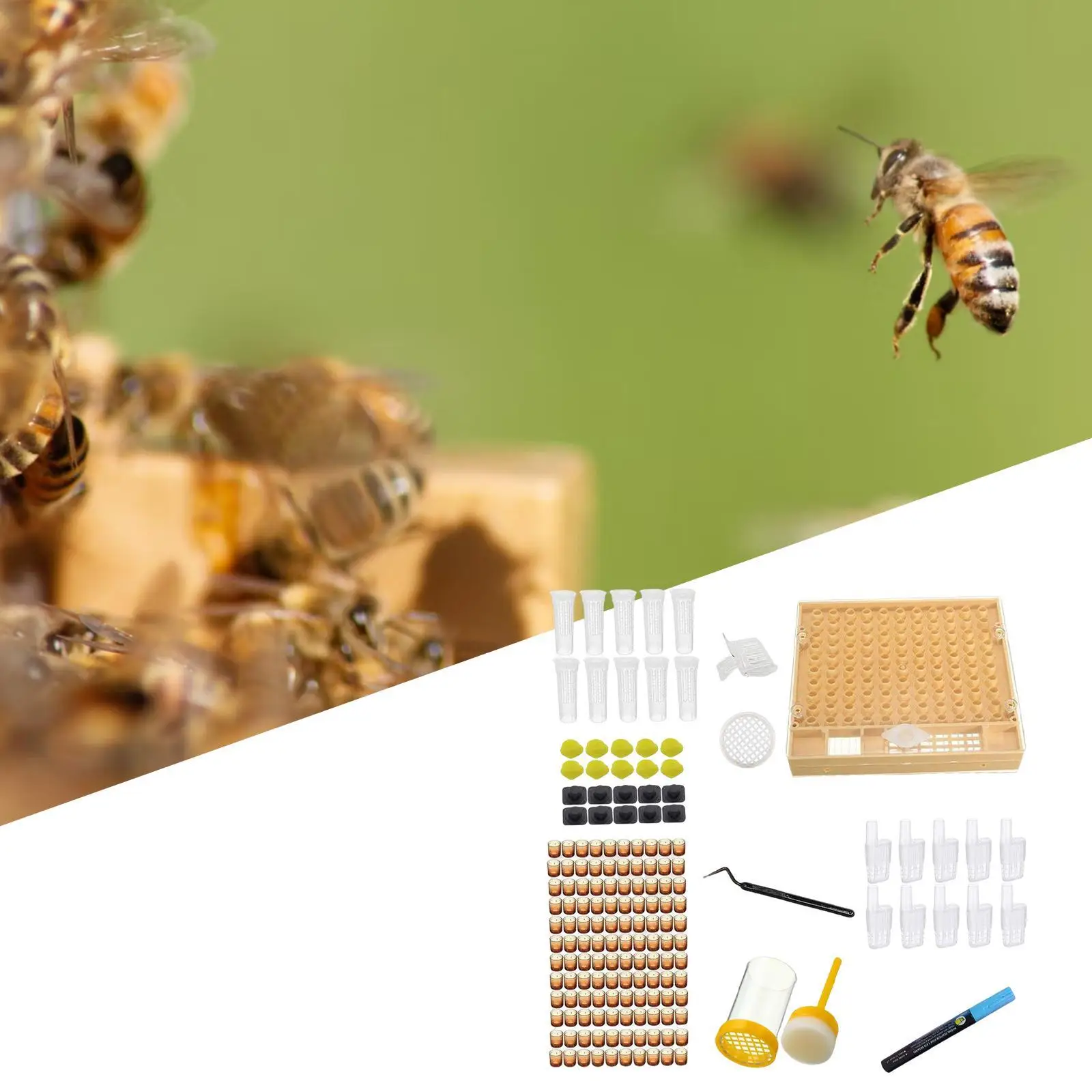 Queen Bee Rearing System Kit for Laying Eggs to Raise Queens Beekeeper Tool