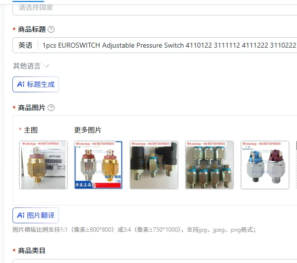 1 interruptor de presión ajustable EUROSWITCH 4110122 3111112 4111222 3110222