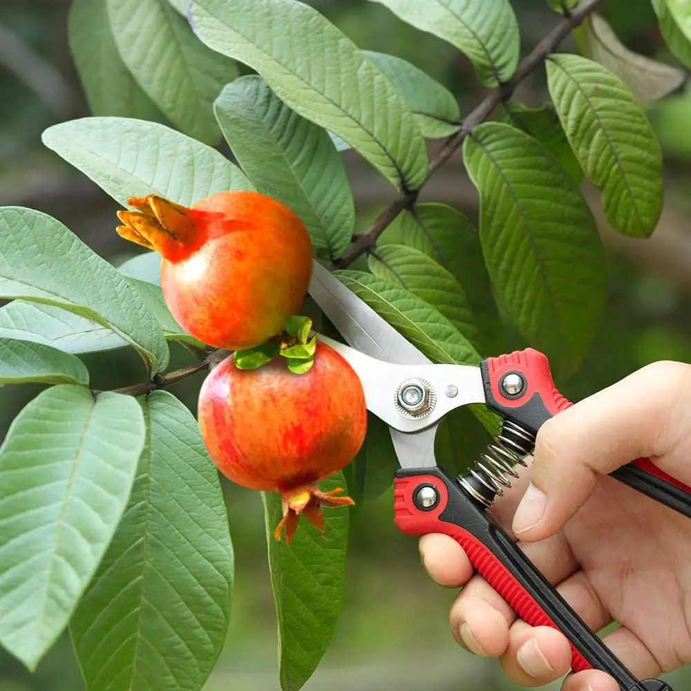 Tijeras de podar de acero inoxidable de alta resistencia, tijeras de podar manuales ultraafiladas para cosecha de frutas y verduras en el jardín,