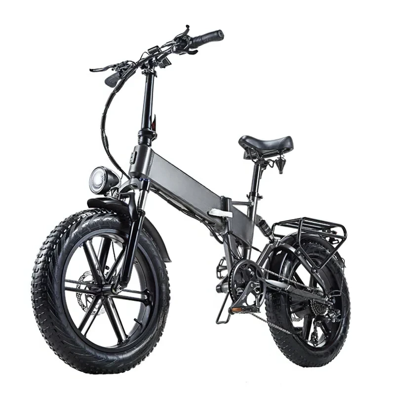 Electric Bike 20 Inch Fat Tire Off-Road Electric Bike 800W 48V 17.5AH Mountain Electric Bike