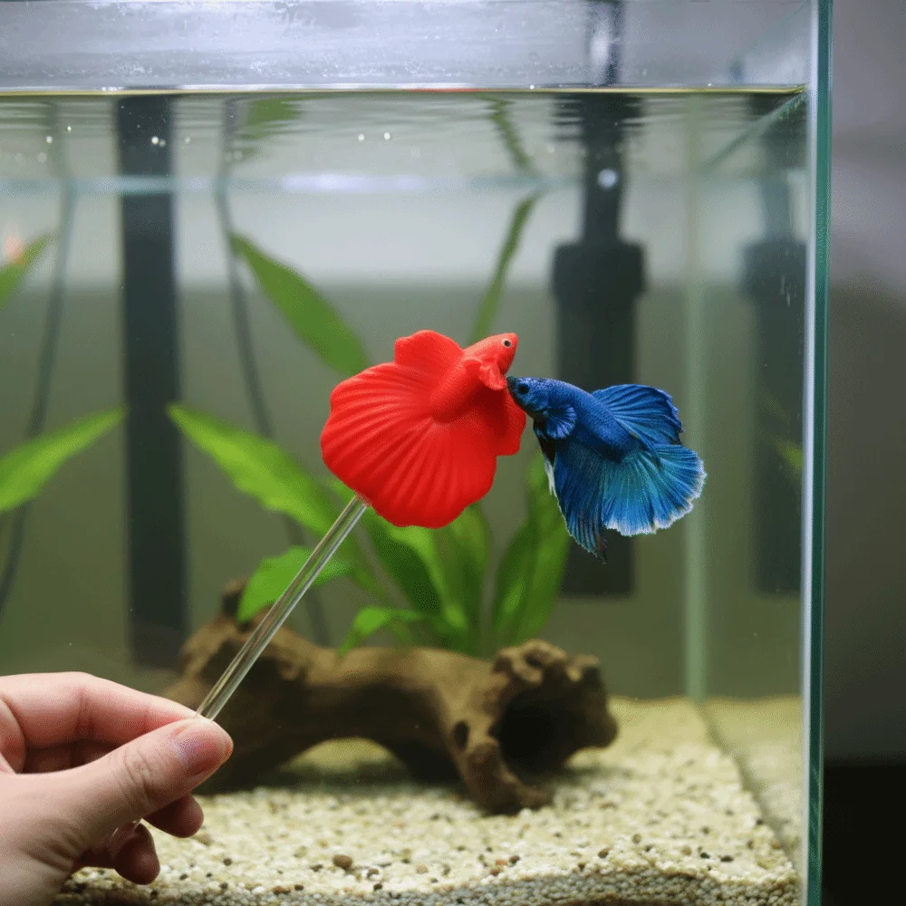 

Fun Long Pole Teasing Fish Stick Colorful Fish Shaped Betta Training Wand Resin Fish Training Stick Fish Tanks Accessories