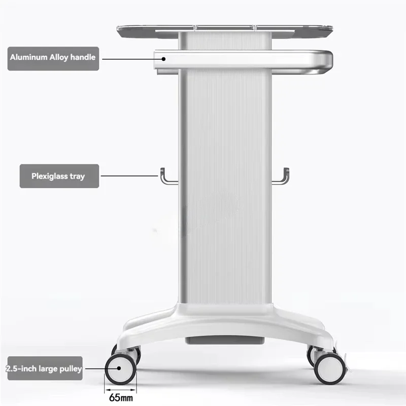 Trolley Stand Salon Rolling Cart Beauty Instrument Trolley Organizer With Wheel Spa Salon Furniture Tool Storage