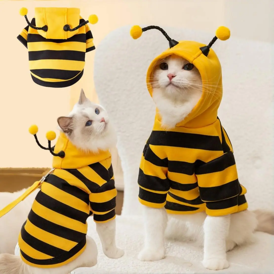 #1 Best Cat Apparel to Buy In 2026
