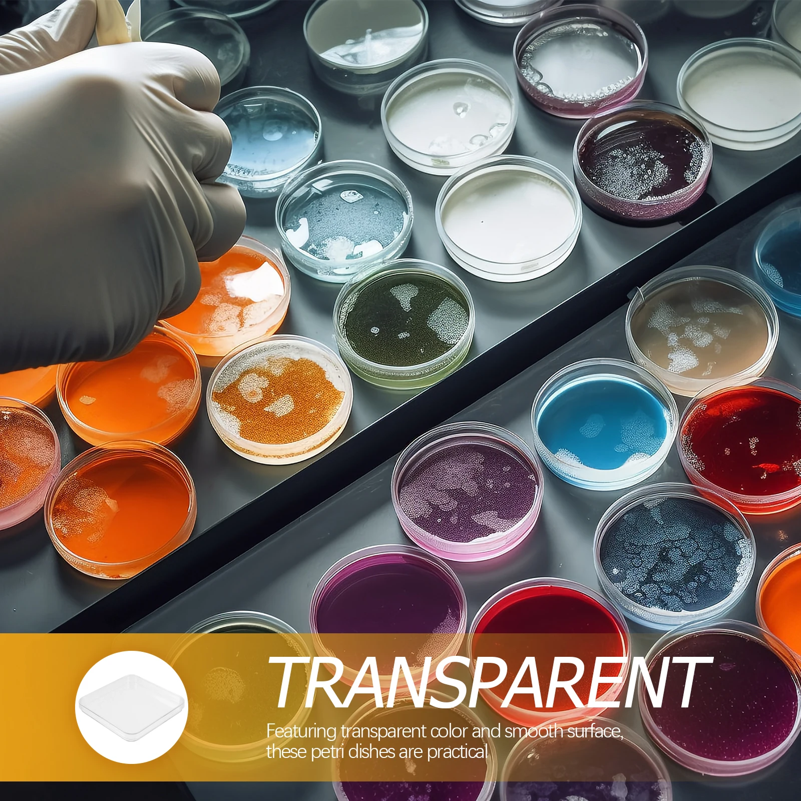 

10Pcs Clear Petri Dishes with Lid Small Plastic Culture Plates Laboratory Experimental Equipment for Science Research