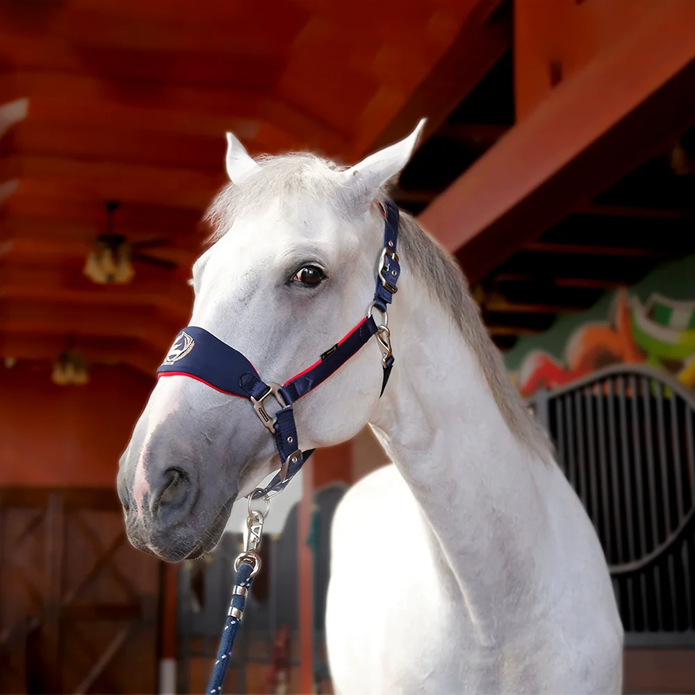 

Breakaway Padded Weaver Horse Halter Bridle Horsemanship Personalized Equine Halters For Horses 1