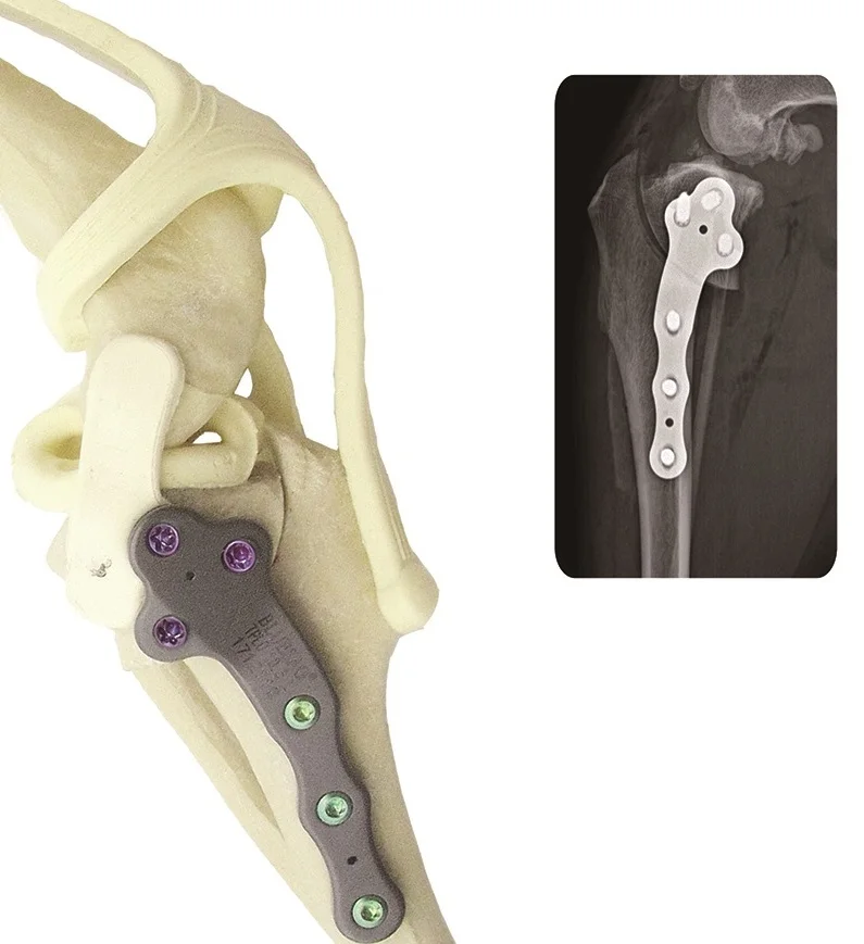 Professional TPLO-M Locking Plate System Veterinary Use For Dog And Cat Tibial Plateau Leveling Osteotomy