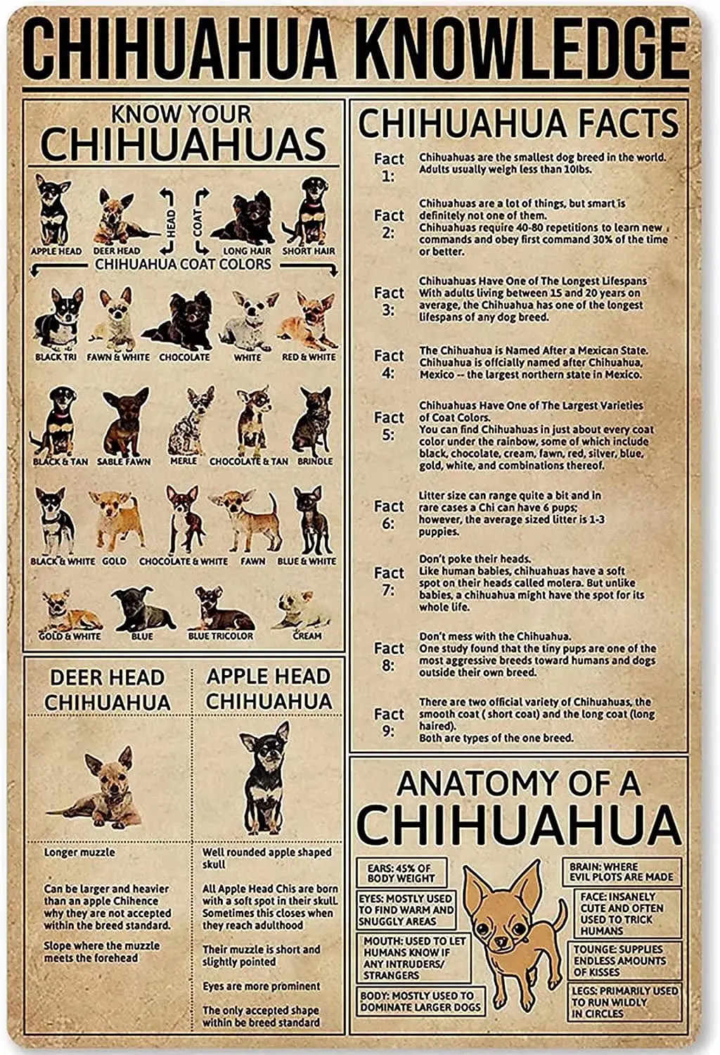 

Tin Sign-Chihuahua Knowledge- Fun World Education Science Classroom Infographic Tin Sign Great Retro Gifts and Decorative Door