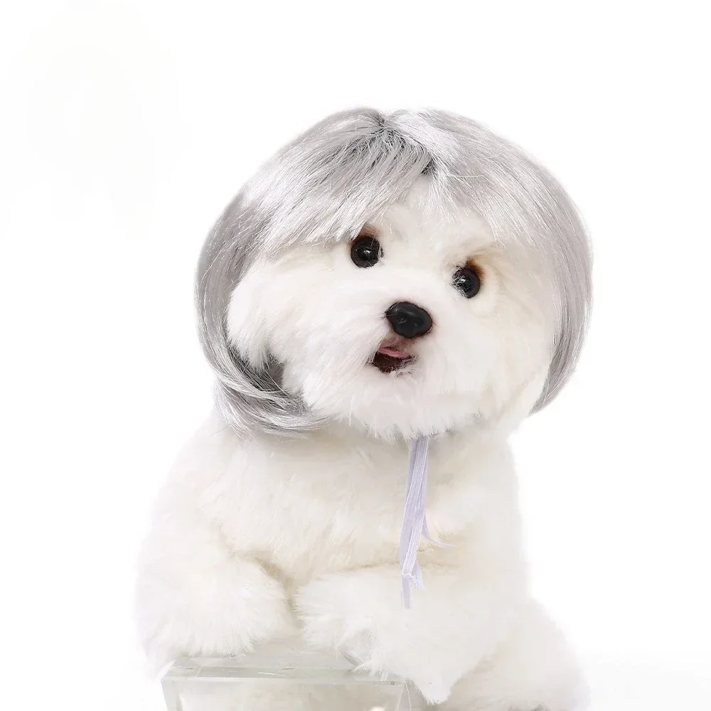 Pet Wig Dog Wig Pet Supplies Halloween Pet Accessories Curly Hair Straight Hair Cat Wig