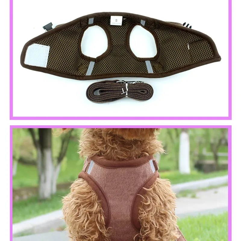 Thumbnail 4 - #69 Best Puppy Collars to Buy In 2026