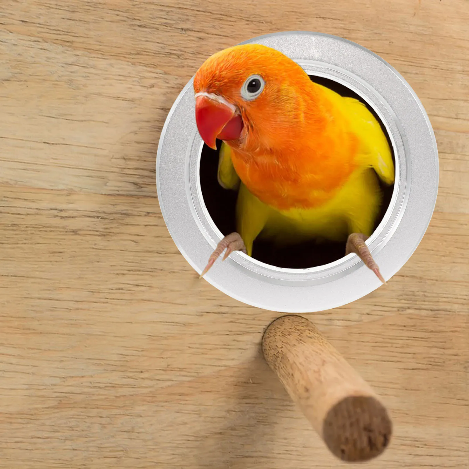 

Ring Parrot Nest Box Bird Cage Door Entrance Supplies Houses The Bird's Guard Metal Circle Guards Silver Hole Protector