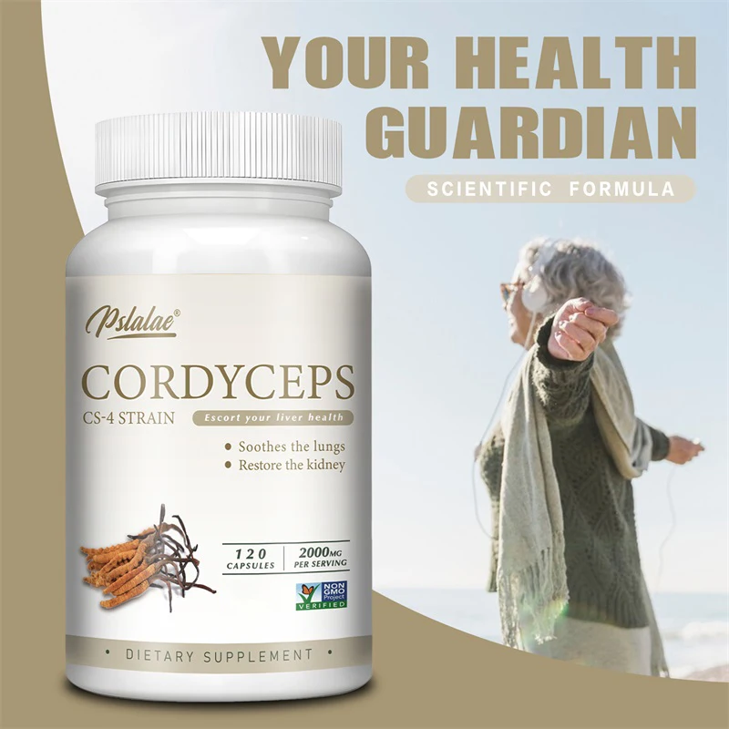 Cordyceps - Energy, Respiratory, Immune, Kidney Health Support