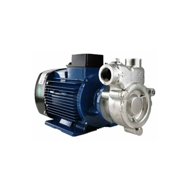 Hot sale 1 inch Self priming air-dissolving pump for Dissolved Air Flotation system