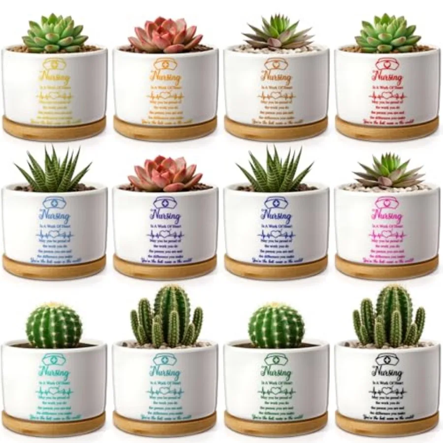 

Набор подарков для медсестер к Неделе медсестер: керамические кашпо для суккулентов, аксессуары для цветочных горшков.