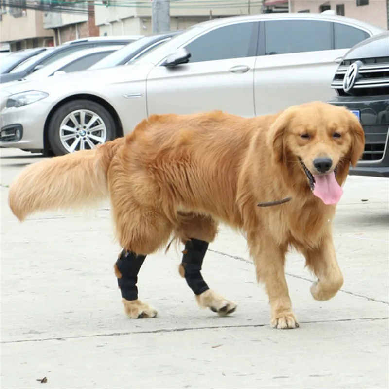 Pet Protector Dog Leg Protector Large Dog Knee Protector Elbow Protector Magic Bandage Anti-licking Fixed Recovery Bandage