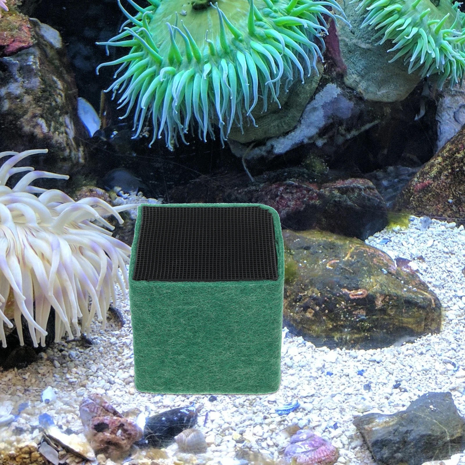 

Fish Tank Filter Media Purification Cube For Aquarium Filtration Cleaning Tool Water Quality Improvement Filtering