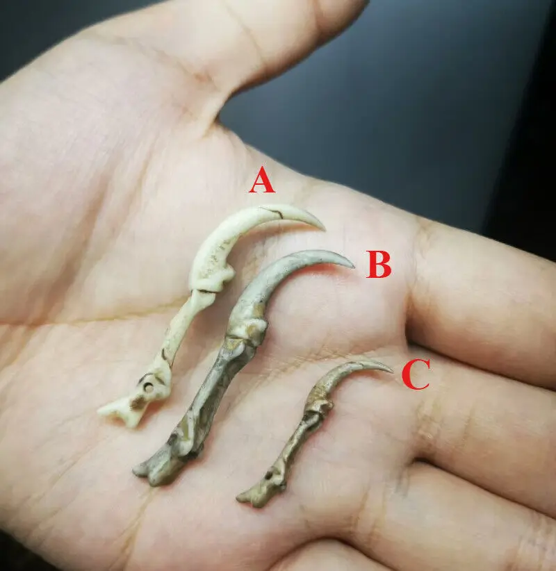 نموذج توتنهام عظم الحشرات بمقياس 1/12 لشخصية 6 بوصة