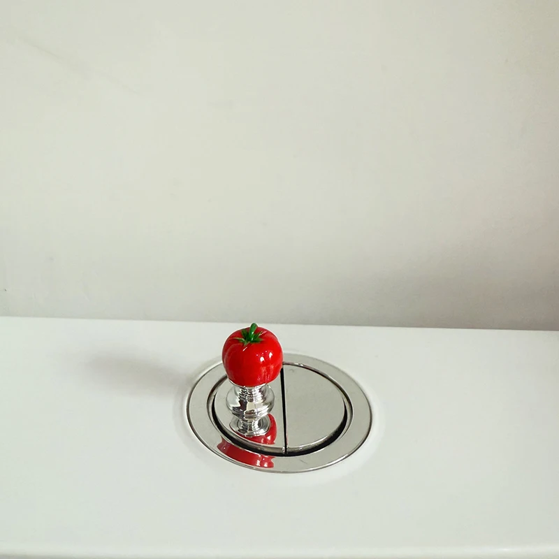 Botón de presión para inodoro, portátil, útil, tanque de agua para baño, interruptor de empuje, émbolo pequeño para inodoro, manija del cajón del gabinete, 2 uds.