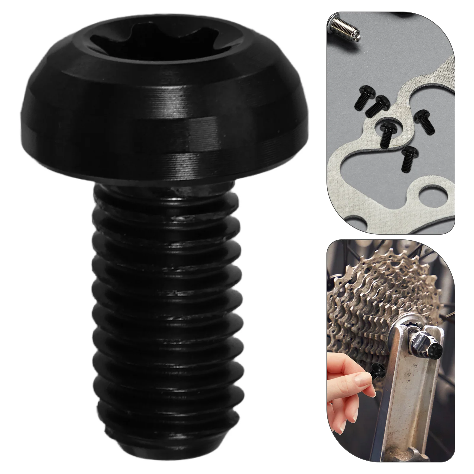 

12pcs Bike Disc Rotor Bolts Titanium Alloy Brake Screws Pvd Coated Eva Box Storage Transport Disc Bolts For Bike Part