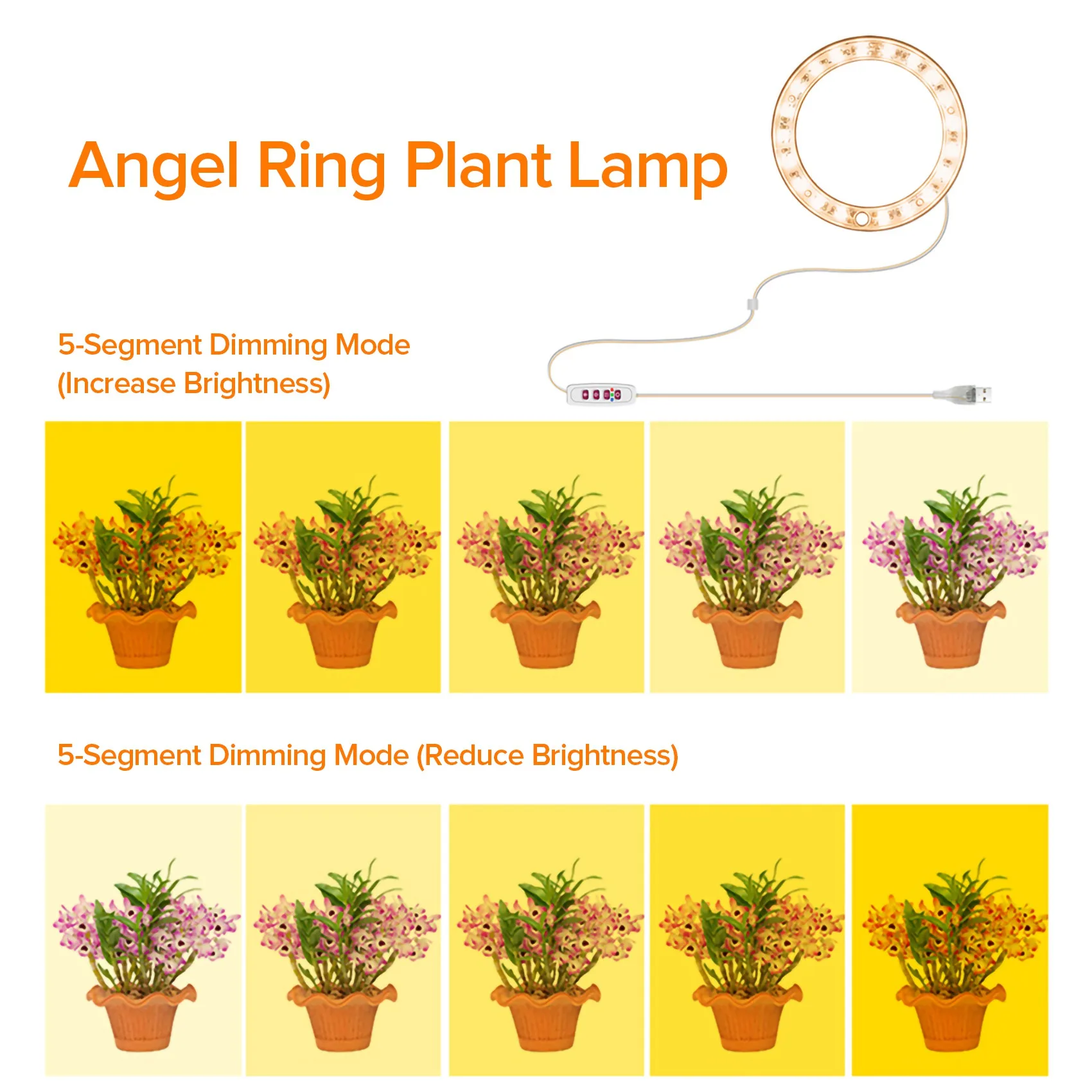 ABLA-LED Coltiva la luce Spettro completo Phyto Grow Lampada USB Angel Ring Lampada per piante grasse, Crescita di piante da fiore