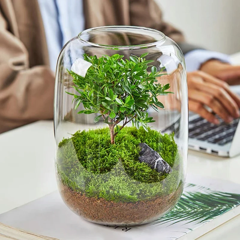 1PC Large Belly Glass Bottle, Used For Home, Office, Window Display, Desktop Decoration, Micro Garden, Handmade DIY Scenes