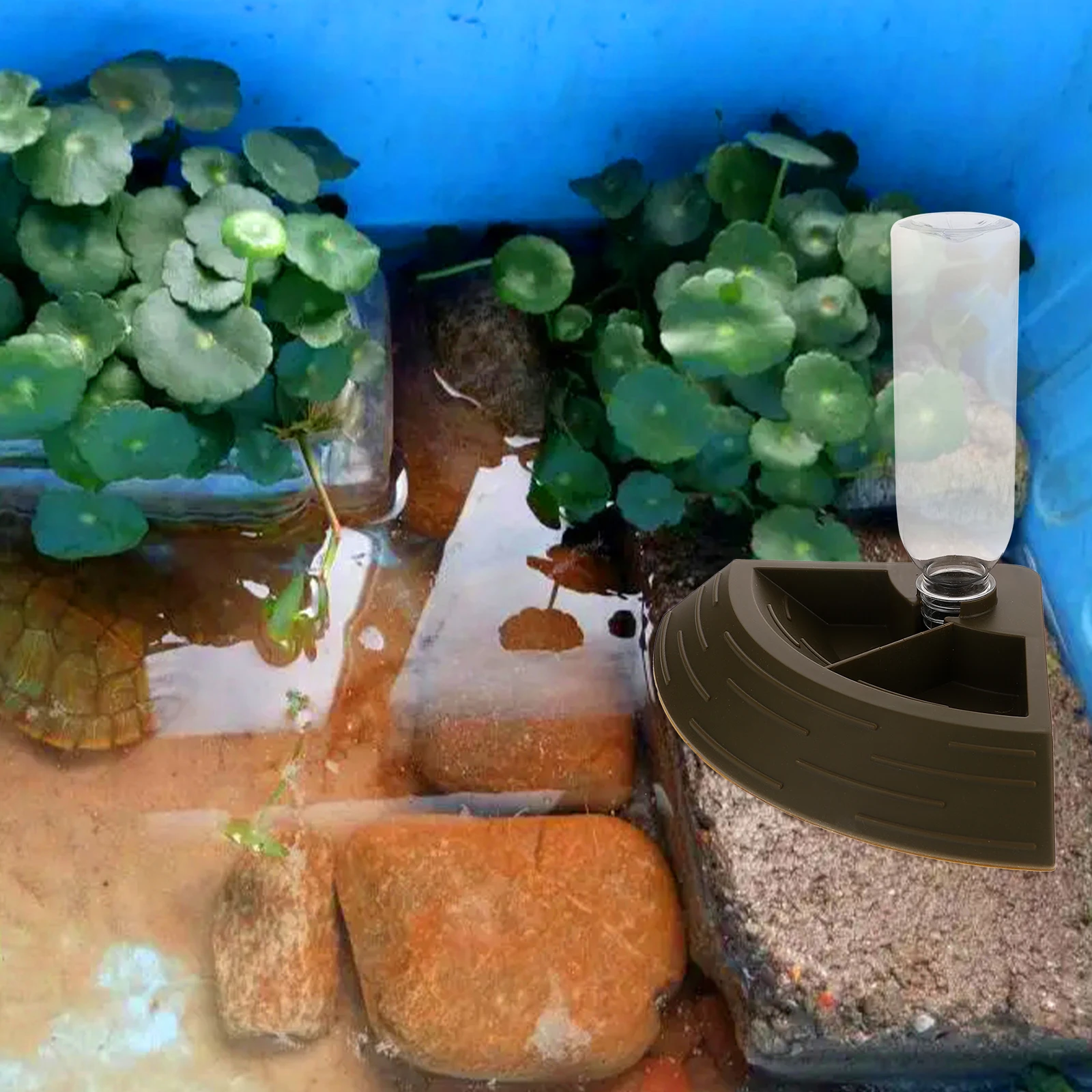 

Automatic Reptile Feeder Waterer Unique Design Easy Clean Reptile Water Dish Lizard Turtle Crawling Pet Feeder