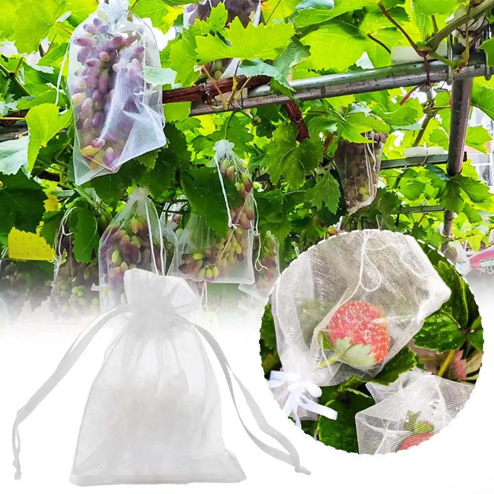 

Gauze Mesh Bag Fruit Insect-proof Bag Wear-resistant Grape Protective Tomato Breathable Reusable Eggplant Apple Cover V5S9