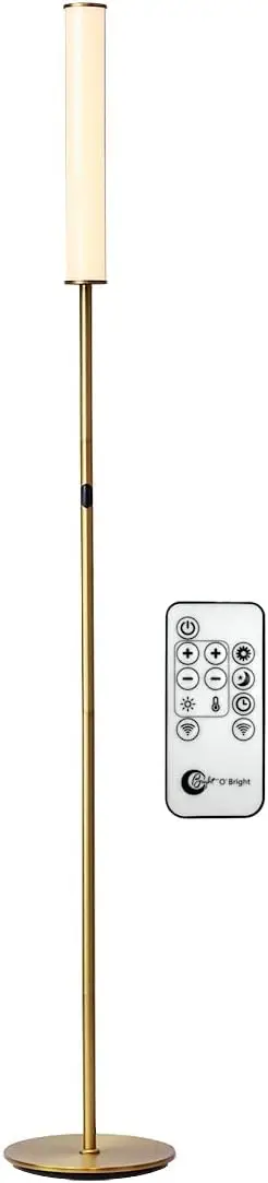 LED Cylinder Floor Lamp with Remote Control, Full Range Dimming, Adjustable Color Temperature 3000K-6000K, Minimalist Standing