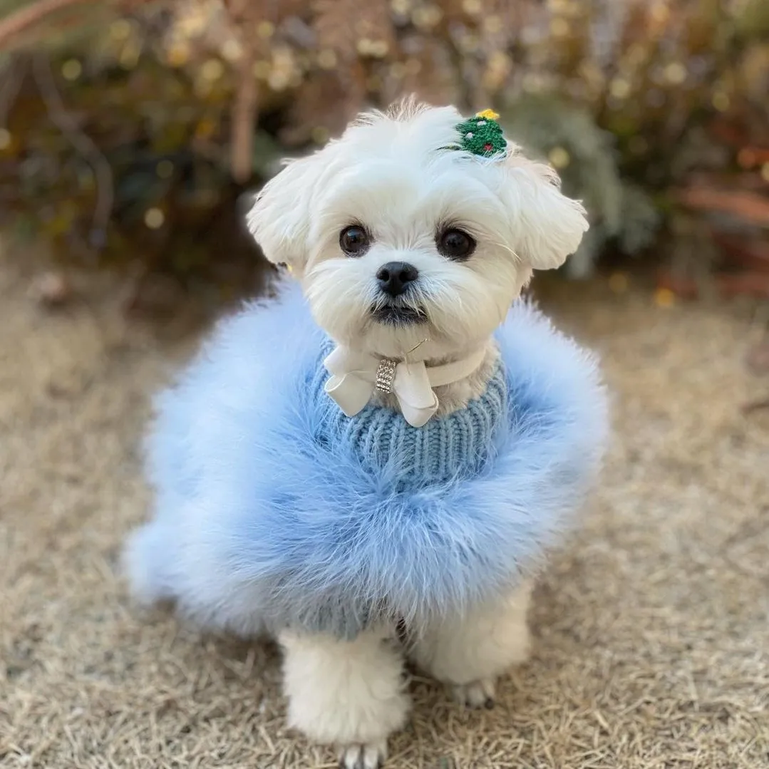 Soft Fluffy Turtleneck Dog Sweater In Blue And Pink Luxurious Dog Clothes Also Suitable For Cats