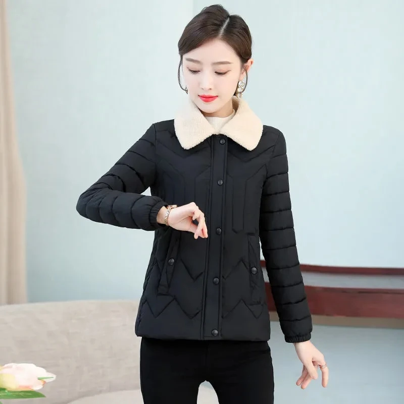 Winter Cotton-Padded Women's New Mother Joker Thin Solid Color Down Cotton-Padded Jacket Slim Slim Fashion Cotton-Padded Jacket