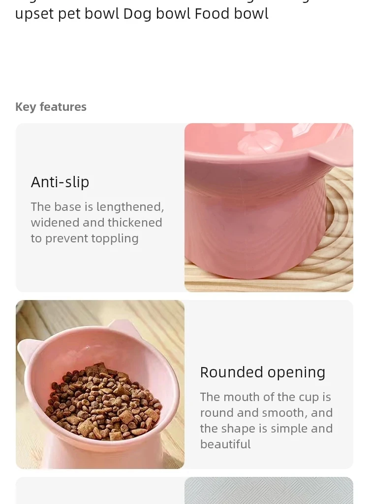 Tilted Pet Feeding Bowl 6